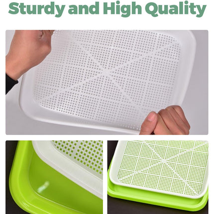 T TAKONE Set of 2 cress growing trays, 32 cm, large sprouting trays. Ideal sprouting box for sprouting seeds. Growing starter set for sprouts, microgreens, and watercress.