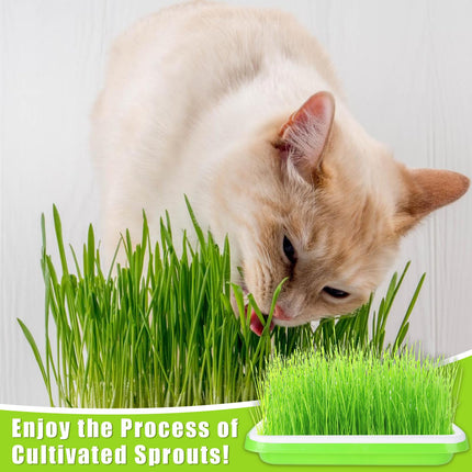 CYEER 8 Pack Sprouting Trays, 34x25x11CM Cress Seed Trays, Microgreens Seed Trays, Sprouting Tray, Sprouting Kit for Growing Mung Beans, Alfalfa, Wheatgrass