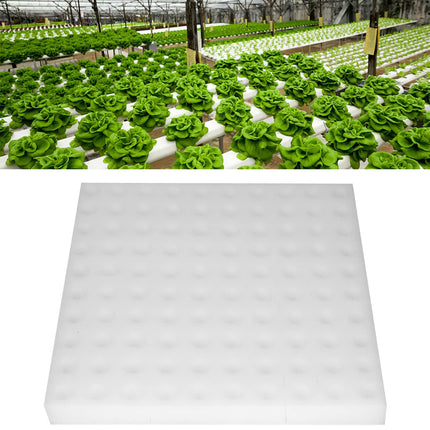 Haofy Vegetable Growing Gardening Tools, 100 Pieces Hydroponic Sponge Plant Gardening Tool Square Seedling Sponges for Greenhouse