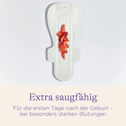 Lansinoh Postpartum Pads - 10 pieces - extra absorbent &amp; breathable - for heavy lochia &amp; the first days after birth