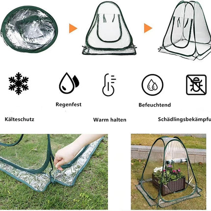Morricho Pop Up Greenhouse Small Wintering Tent for Plants Frost Protection, Indoor Greenhouse, Mini Greenhouse, Plant Tent for Wintering (70 x 70 x 80 cm)