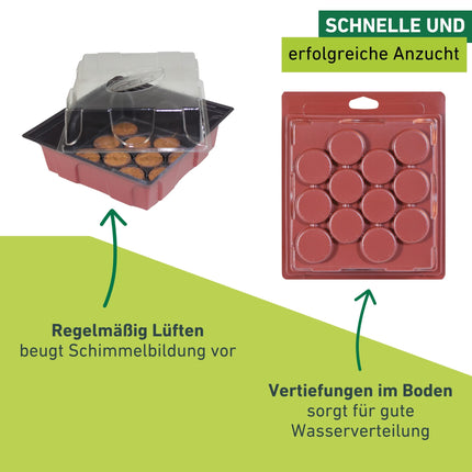 Windhager indoor greenhouse including 12 seedling tablets, mini greenhouse, terracotta/anthracite, 19.5 x 19 x 11 cm