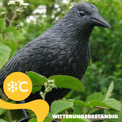 KADAX Black Raven, pigeon repellent and pigeon deterrent made of plastic, bird repellent, natural pest control, protection against annoying birds