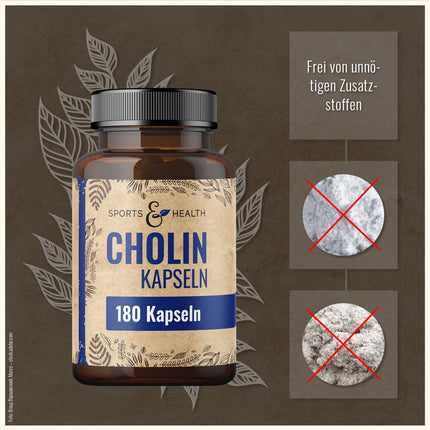 Choline Capsules - High Dose Choline Capsules - 180 High Dose Choline Capsules - Pure Choline Powder in Capsules - Choline