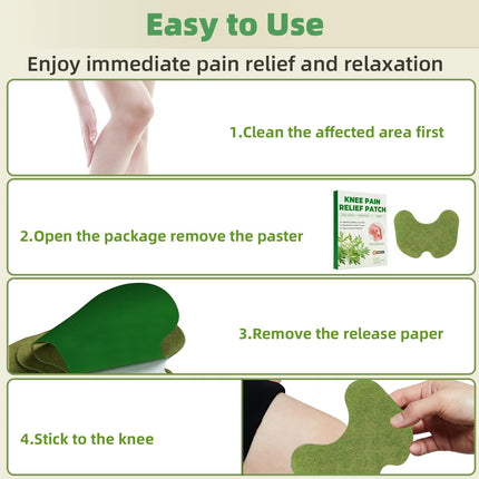 Holilo Pain Relief Patch, 40 Pieces Knee Pain Patches, Natural Herbal Pain Relief Patch Self-Adhesive Heat Patches Pain Relief Patches for Knee, Back, Neck and Sore Muscles