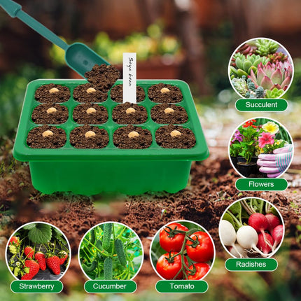 Horuili 5 Pack Indoor Greenhouse Propagator, Mini Greenhouse Propagation Set with Light, Seedling Propagator with 2 Tools and 10 Labels, for Greenhouse, Gardening