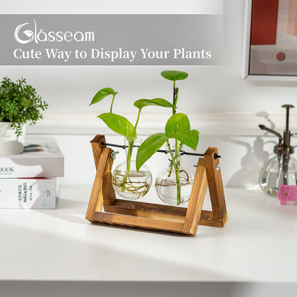 Propagation Station For Plants Upgrade Bulb Vase Planter With Wooden Stand Glass Flower Pot Indoor For Table Decoration Vintage Home Office Accessories, 2 Bulbs