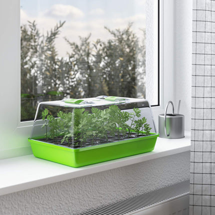 WELLGRO Grow Tray - Indoor Greenhouse with Ventilated Cover and Plant Labels - 1, 2, or 4 Pieces - 38 x 24 x 19 cm, Quantity: 1 Piece