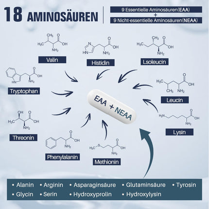 18 Amino Acid Complex High Dose - 9 EAA + 9 NEAA, Amino Acid Capsules with BCAA - 120 Capsules