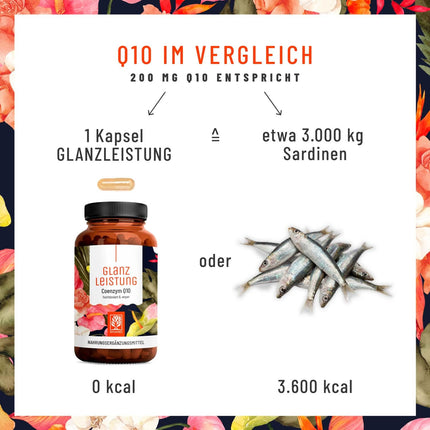 NATURTREU® Glanzleistung - Coenzyme Q10 capsules with a high dose of 200 mg per capsule - 90 vegan capsules for 3 months - pure ubiquinone from plant fermentation