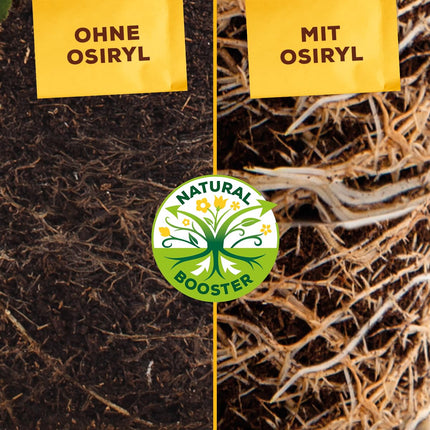 Solabiol Berry &amp; Fruit Fertilizer, special fertilizer with immediate and long-term effect for all berry plants, pome and stone fruits 1.5 kg