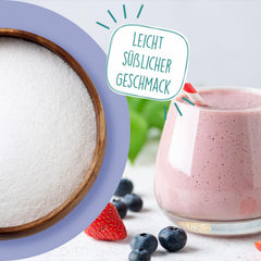 BORCHERS Inulin Powder 500g, plant-based fiber, easily soluble, naturally vegan, no additives, digestion