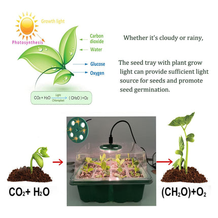 VDYXEW Mini Greenhouse with Light, Growing Greenhouse, Sun-like Plant Lights with Full Spectrum, Growing Kit Indoor Greenhouse Grow Box Plant Lamp Growing (5 Pack LED)