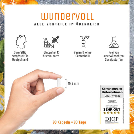 High-dose zinc 25mg - Triple Vitamin C Zinc Capsules - 90-day supply - vegan - produced in Germany &amp; laboratory-tested - NATURTREU® Wundervoll