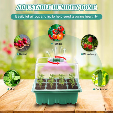 Yozexin Indoor Greenhouse Propagator with Plant Lamp, 5-Piece Mini Greenhouse Propagation Set, Greenhouse Propagation Tray with Raised Lid, for Plant Growth and Seed Germination