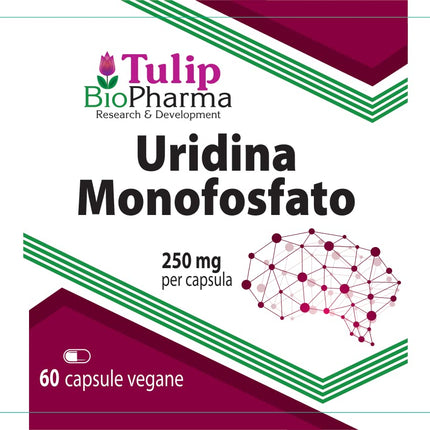 Uridine Monophosphate 250mg 60 Capsules, Laboratory Tested, Nootropic