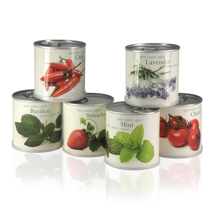 MacFlowers Flowers in a Tin Gift Set - Chili - Mint