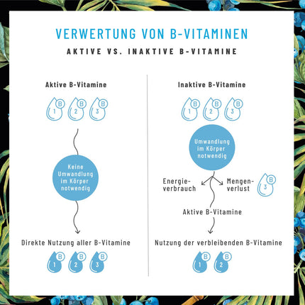 Vitamin B complex (B1-B12) with 3 active cofactors - All 8 B vitamins - Vitamin B complex vegan - B vitamin complex high dose with cofactors - Nerve-strong *