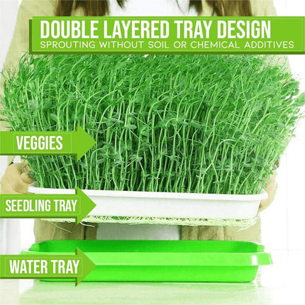 Fuuner 6 Pack Seed Germination Tray, Seedling Tray Germination Trays Greenhouse Effect Propagator Seed Germination Hydroponic Seeding Germination Greenhouse Tray for Family Garden Indoors and Outdoors