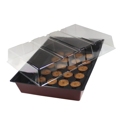 Windhager Indoor Greenhouse MAXI Window Sill Greenhouse Plant Cultivation incl. 24 Growing Tablets, terracotta/anthracite, 23.5 x 35 x 11 cm