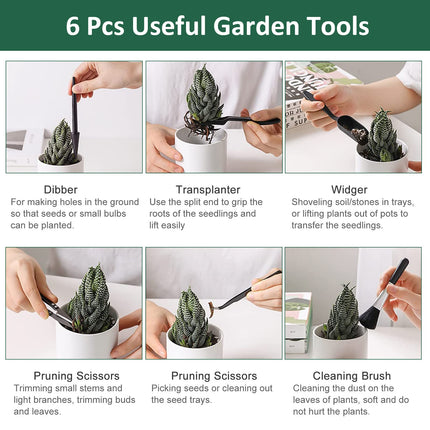 Verdenu Indoor Greenhouse Propagator, 6 Pieces Raised Mini Greenhouse Propagation Set 7 Garden Tool Set Propagation Tray with Lid and Ventilation for Seedling Plant