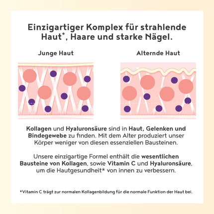 Vegan Collagen Powder + Hyaluronic Acid [400g] | Plant-based alternative to collagen hydrolysate | with 13 amino acids and vitamin C from camu | Tasteless | Made in Germany | Alpha Foods