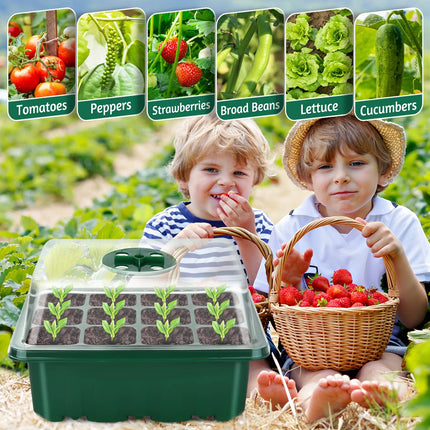 Flintronic 11-piece 132-cell indoor greenhouse propagator, mini greenhouse propagation set, greenhouse propagator with lid and ventilation, 40 plant markers, propagation tray for gardens and vegetable gardens