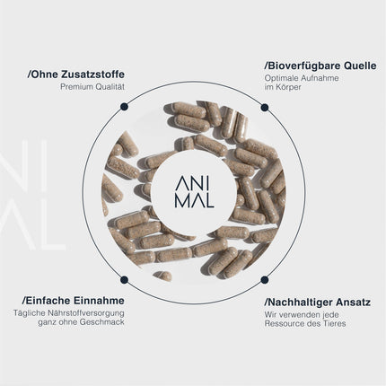 Animal Based Beef Liver [240 Capsules] - Natural Iron, Vitamin A, B12, Copper - Grass Fed Beef Liver - Pasture-fed quality from New Zealand - Optimal nutrient absorption - Halal certified raw materials