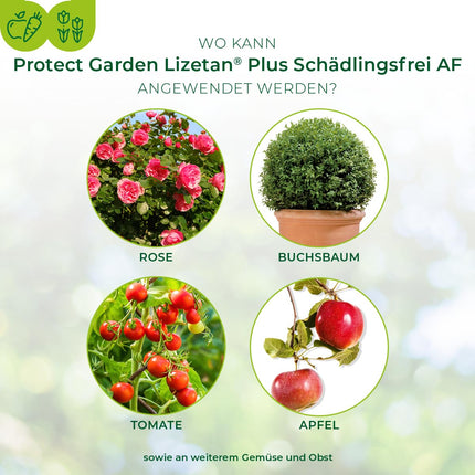 PROTECT GARDEN Lizetan Plus Pest-Free AF ​​against pests on ornamental plants, roses, fruits and vegetables, 800 ml spray