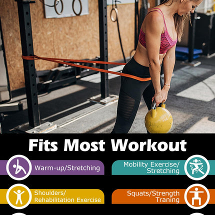 Zacro Resistance Bands, Fitness Bands Resistance Bands Set with Door Anchor, for Yoga, Pilates, Training, Physiotherapy, Pull-Up Aid, Strength Training for Men and Women