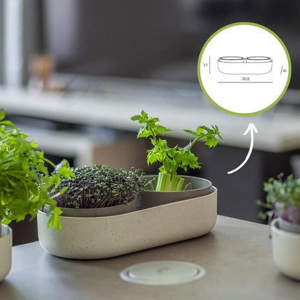 Urbalive 2-in-1 large sprouting tray set - 2x cress growing trays for sprouts, cress seeds, microgreens - designer cress sieve made of high-quality plastic - sprouting box germination device with regrow option