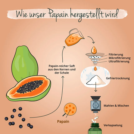 Papaya Enzyme Vegavero® | High dosage: 2,100 mg pure papain per daily dose | High enzyme activity: 100,000 units/g | Naturally from the fruit | 120 capsules | Vegan &amp; no additives
