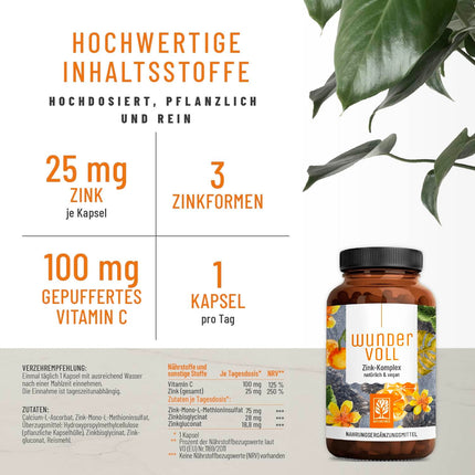 High-dose zinc 25mg - Triple Vitamin C Zinc Capsules - 90-day supply - vegan - produced in Germany &amp; laboratory-tested - NATURTREU® Wundervoll