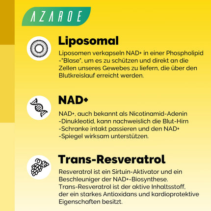 Liposomal NAD+ Trans-Resveratrol 800 mg Softgels, Superior Alternative, More Efficient than NR, High Absorption, 60 Softgels (60 Count (1 Pack))