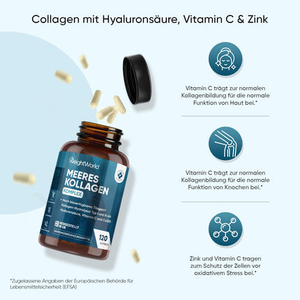 Marine Collagen Complex - 1200mg Hydrolyzed Fish Collagen Peptides - With Hyaluronic Acid, CoQ10, Vitamin C, Zinc - 120 Collagen Hyaluronic Acid Capsules - WeightWorld