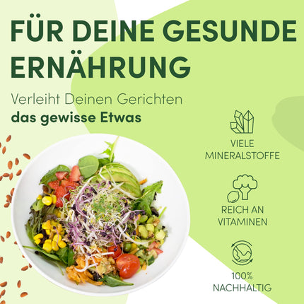 Green SEEDS® [The Original Sprouting Jar Set of 2 + Cress Sieve + 3 x Seed Set with High-Quality Stainless Steel Mesh Lid, Stand, Ceramic Bowl + Sprouting ABC [Print Version] Sprouting Jar Cultivation Set