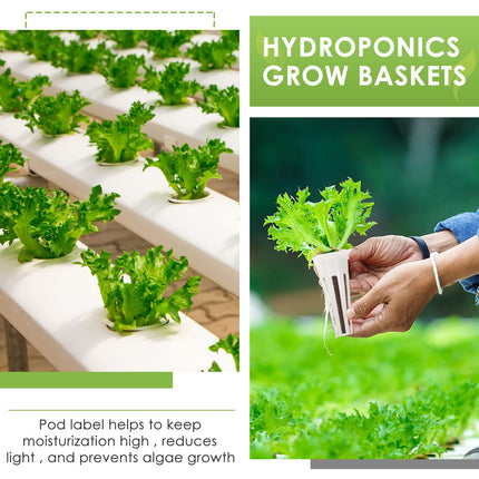 Seed Capsule Kit for Aerogarden, Grow-Anything Kit for Hydroponics, Plant Capsule Kit A&amp;B for Solid Plant Fertilization with Plant Baskets, Grow Sponges, Plant Domes, and Labels, (12 Pieces)