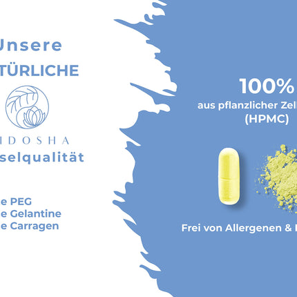 QIDOSHA® Quercetin Capsules High Dose, TEST WINNER 02/23*, 120 pcs/jar, 500mg pure quercetin per capsule, quercetin content tested by external laboratory, German production