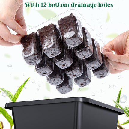5 pieces seed trays with growth light, seed starter trays, indoor greenhouse cultivation box for germination of seeds &amp; seedlings