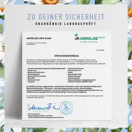 NATURTREU® Magenbalance Betaine HCL Complex vegan - with Pepsin, Chamomile &amp; Chloride - Supports stomach acid and digestion* - Full spectrum enzyme capsules with high dosage