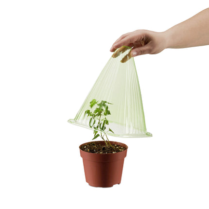 Relaxdays Plant Hat Set of 24, Planting Aid, Plant Protection from Frost, Snails &amp; Birds, PVC, Plant Cover, Green 10026432