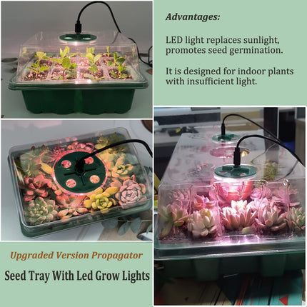 VDYXEW Mini Greenhouse with Light, Growing Greenhouse, Sun-like Plant Lights with Full Spectrum, Growing Kit Indoor Greenhouse Grow Box Plant Lamp Growing (2 Pack LED)