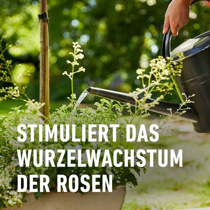 Compo Rose Fertilizer Liquid 1 l