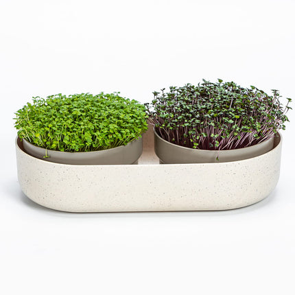 Urbalive 2-in-1 large sprouting tray set - 2x cress growing trays for sprouts, cress seeds, microgreens - designer cress sieve made of high-quality plastic - sprouting box germination device with regrow option