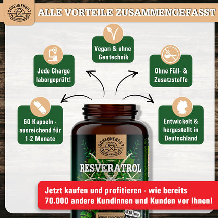 Resveratrol -1000mg per daily dose- IMPORTANT: 100:1 extract (=100000mg Japanese knotweed root) + piperine | 98% Trans-Resveratrol high dosage | Laboratory tested -DE- SCHEUNENGUT®