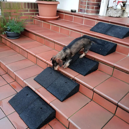bepco bicycle and scooter ramp set (2 pieces), LxWxH: 25 x 25 x 5 cm made of rubber (black) access ramp, door threshold ramp, with embedded washers for fastening