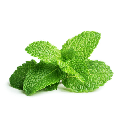 Click &amp; Grow Smart Garden Peppermint Plant Pods 3 Pack