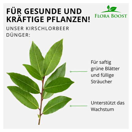 Flora Boost Cherry Laurel Fertilizer Flora Boost 500ml I For up to 100L of irrigation water I Fertilizer for cherry laurel plants &amp; hedges I Liquid leaf &amp; root fertilizer I 100% natural plant fertilizer
