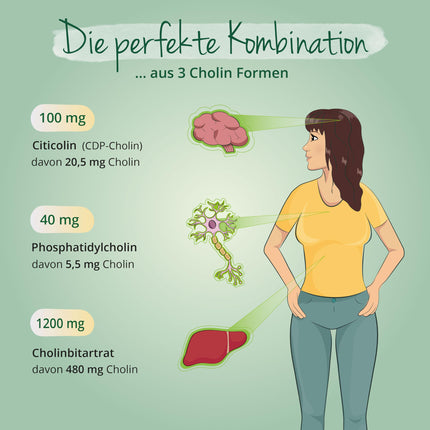 Choline Capsules | Unique: 3 Forms | Bitartrate, Citicoline &amp; Phosphatidylcholine | Liver - Lipid Metabolism* | Laboratory Tested | No Additives | From Vegavero®