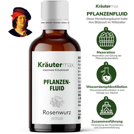 NEW! Kräutermax Rhodiola Rosea Drops | Rhodiola Rosea Distillate as an ideal complement to Rhodiola Rosea Capsules | High-Dose Vegan Rhodiola Rosea in the Kräutermax Style | Liquid Rhodiola Rosea | 1 x 50ml